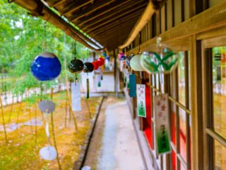 夏季休業のお知らせ